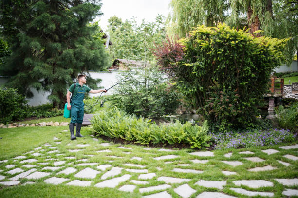 Best Pest Removal Services  in El Jon, CA