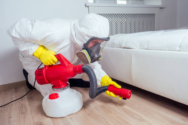 Best Rat Extermination Near Me  in El Jon, CA