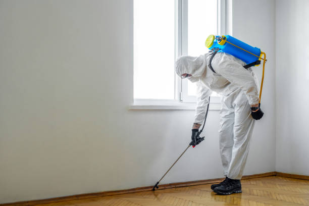 Wildlife Control Services in El Cajon, CA