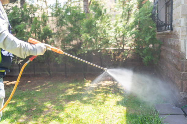 Best Cockroach Control Services  in El Jon, CA