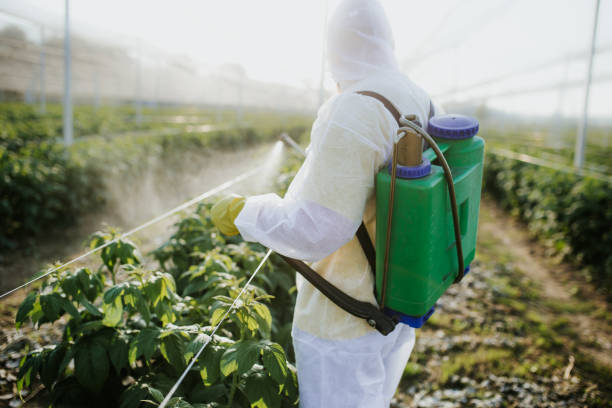 Best Residential Pest Control  in El Jon, CA
